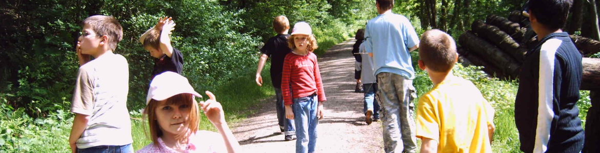 #nivoslider-SrW2K-1495-caption-0